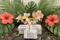 Lotion Bar